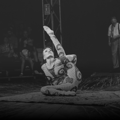 Embamba´t — Cia Artrópodo
